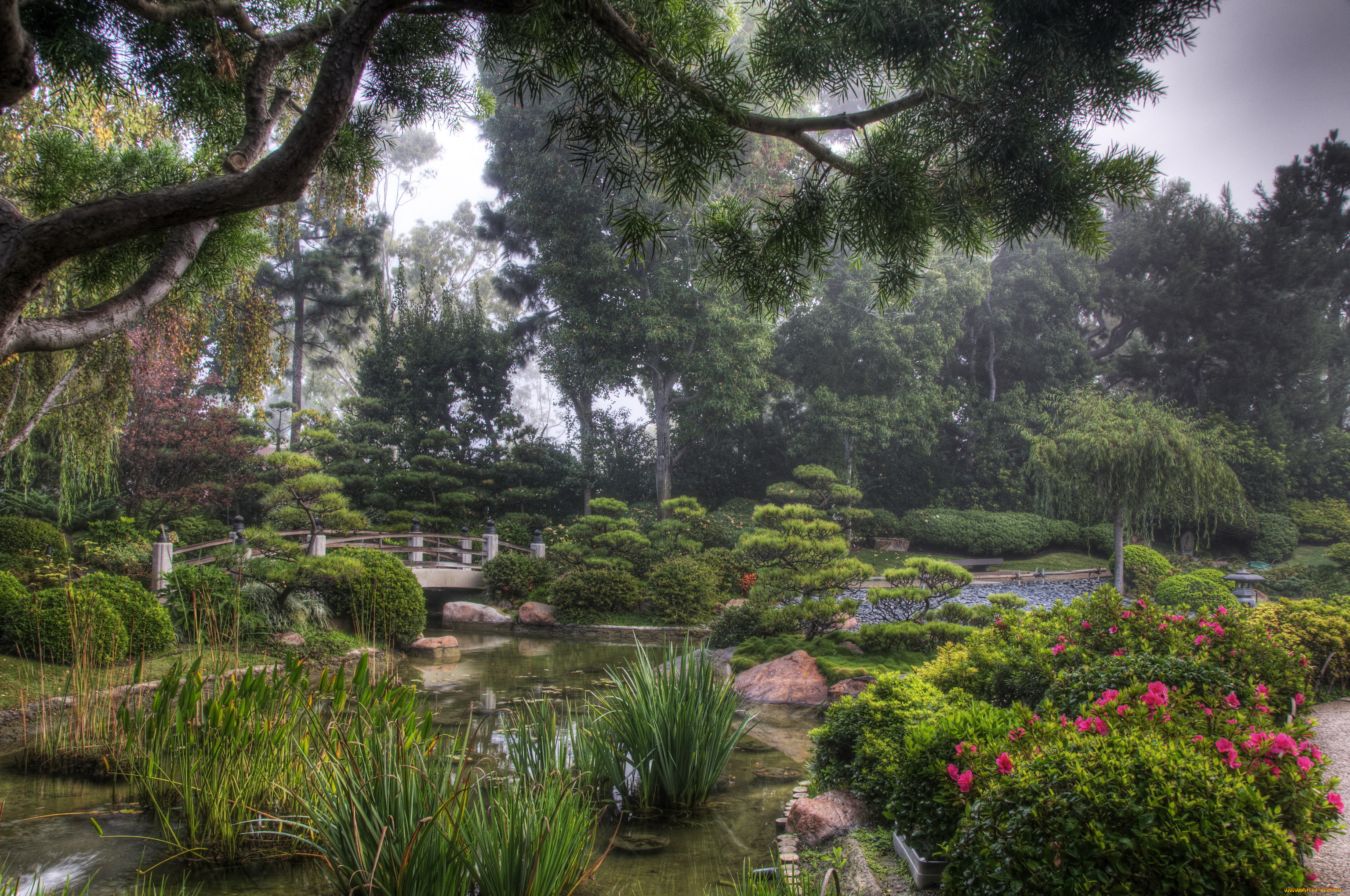 earl, burns, miller, japanese, garden, california, usa, , , , , 